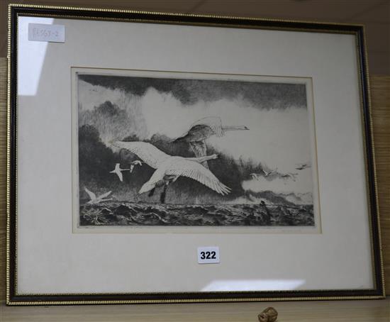 Winifred Austin, etching, The Long Flight, signed in pencil, 23 x 36cm